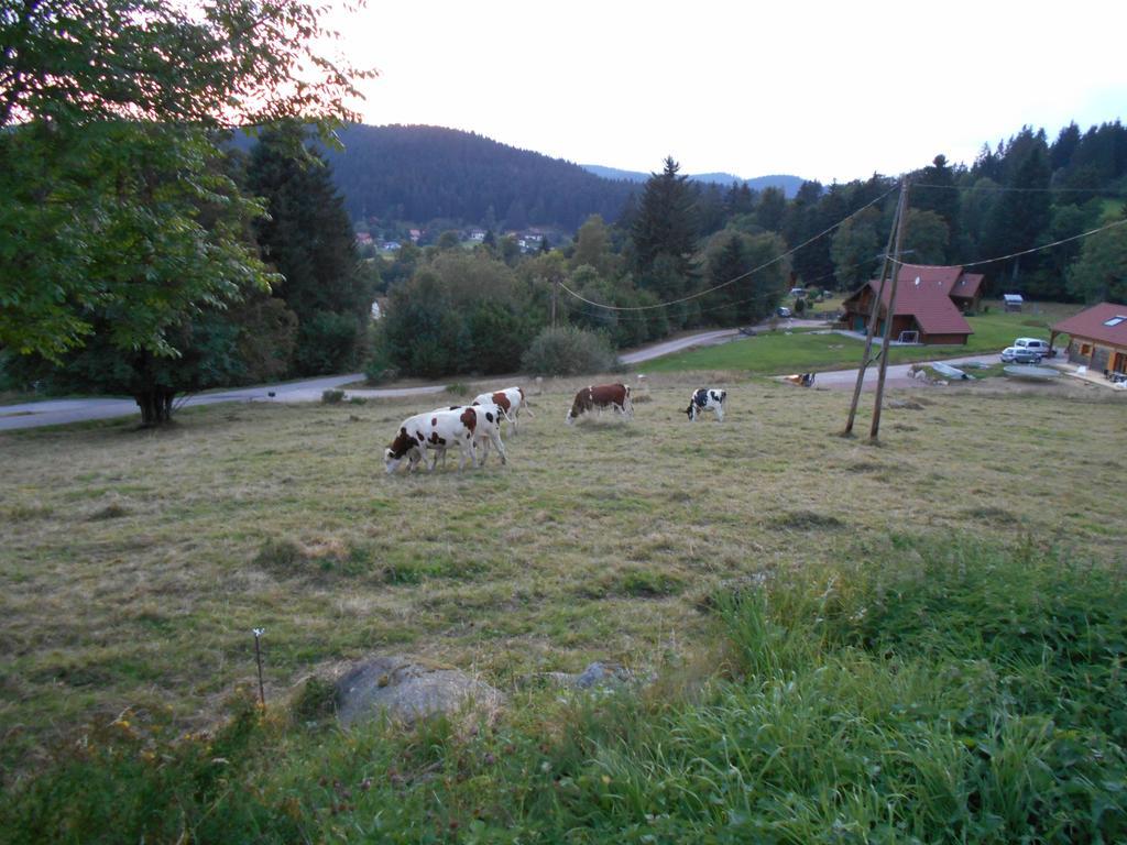 Appartement La Timoniere Gérardmer Buitenkant foto